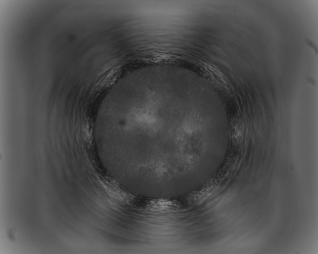 X0000097810607200803281100