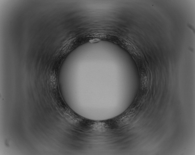 X0000097810609200803281059