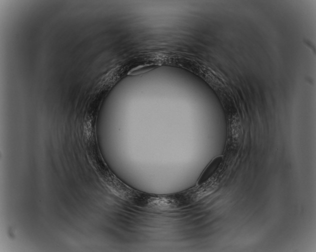 X0000097810611200803281059