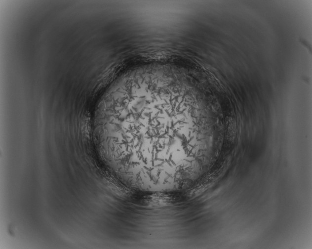 X0000097810612200803281059