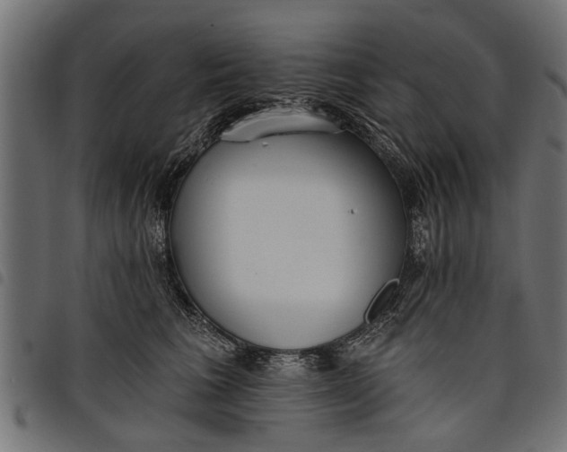 X0000097810613200803281059