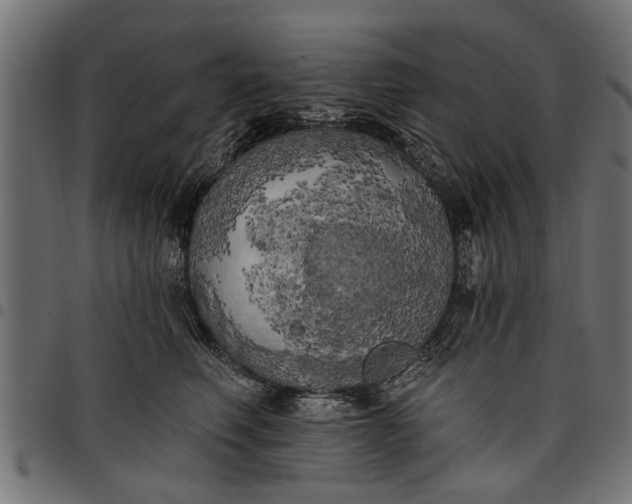 X0000097810614200803281059