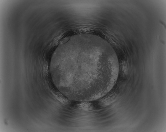 X0000097810615200803281059