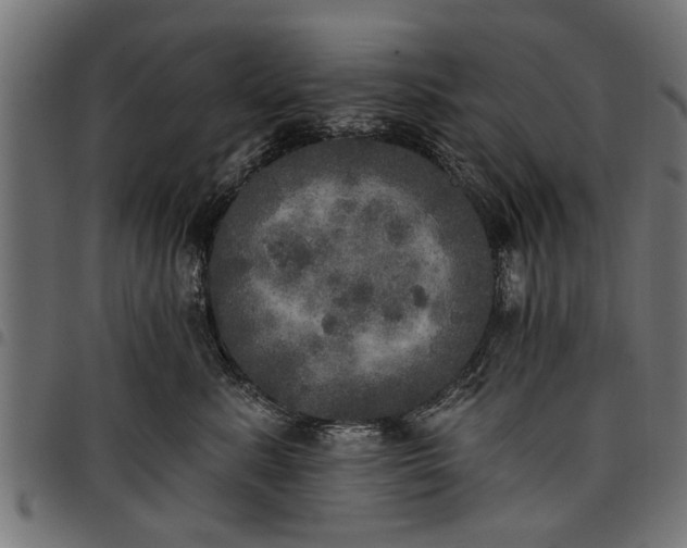 X0000097810619200803281059