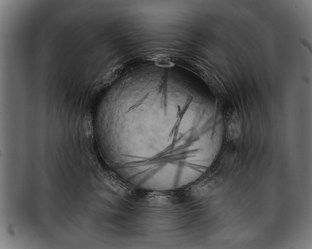 X0000097810620200803281059