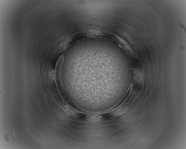 X0000097810621200803281059