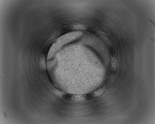 X0000097810622200803281059