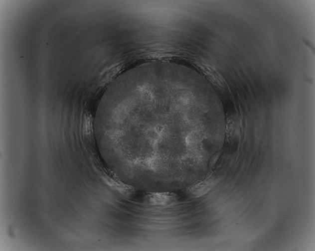 X0000097810623200803281059