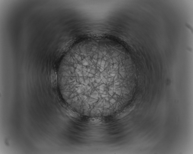 X0000097810624200803281059