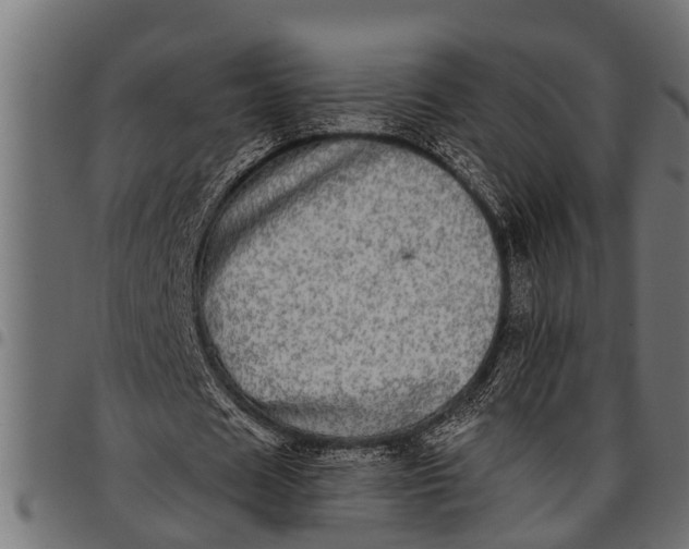 X0000097810625200803281059