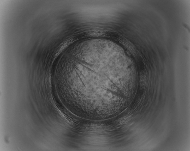 X0000097810626200803281059