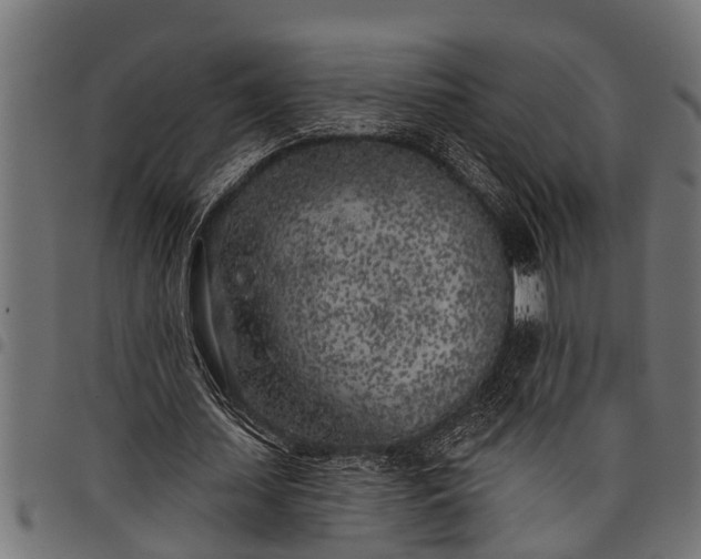 X0000097810627200803281059