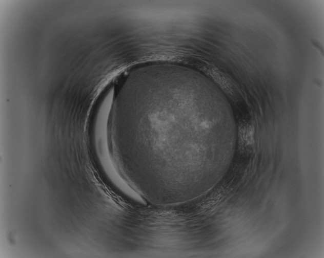 X0000097810628200803281059