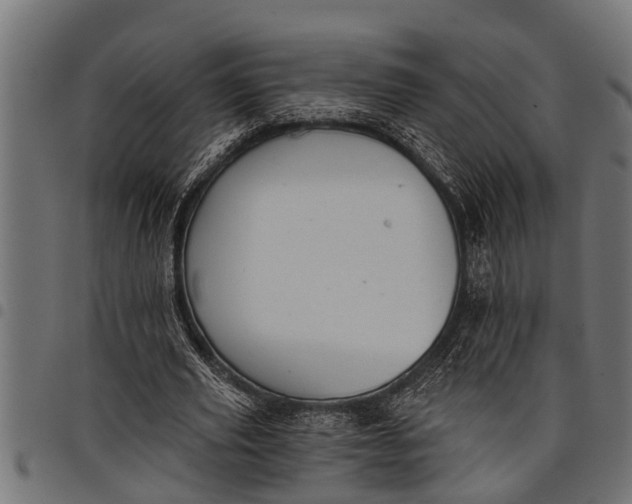 X0000097810629200803281059