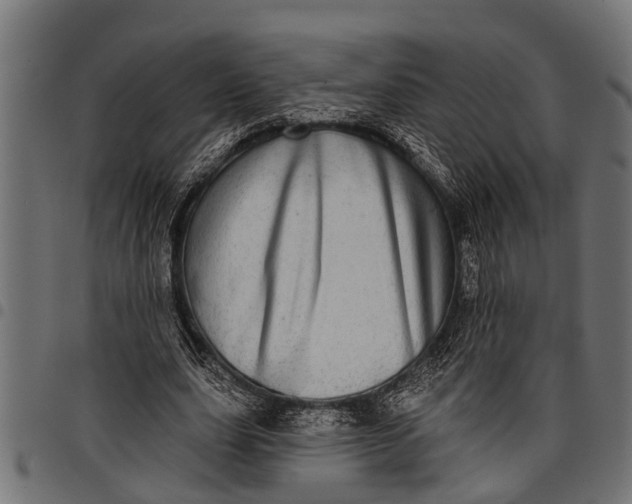 X0000097810631200803281059