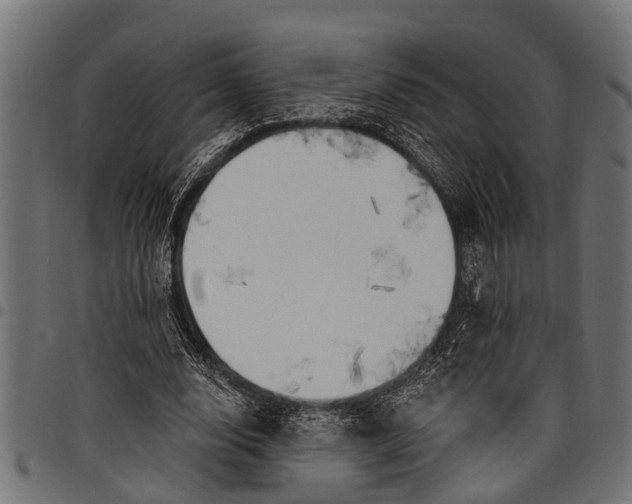 X0000097810632200803281059