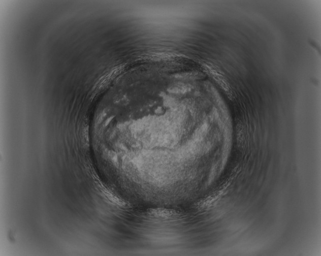 X0000097810633200803281059