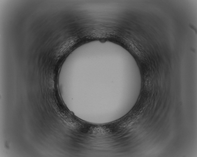 X0000097810635200803281059