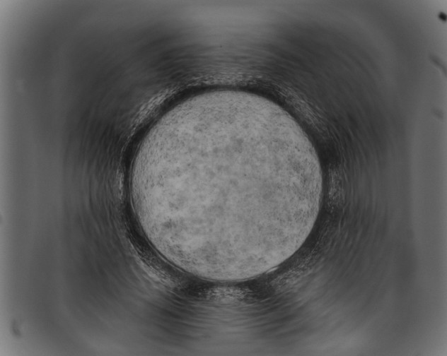 X0000097810636200803281059