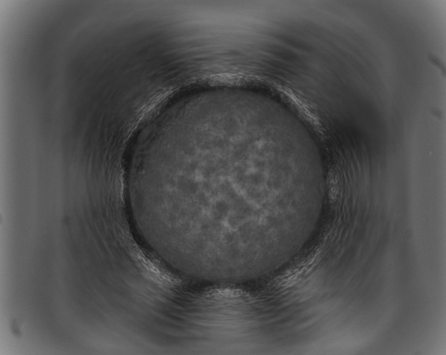 X0000097810637200803281059