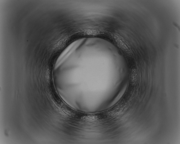 X0000097810639200803281059