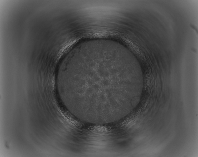 X0000097810640200803281059