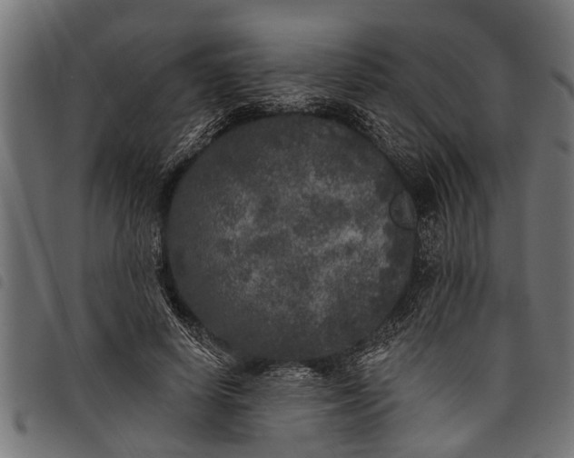 X0000097810642200803281059