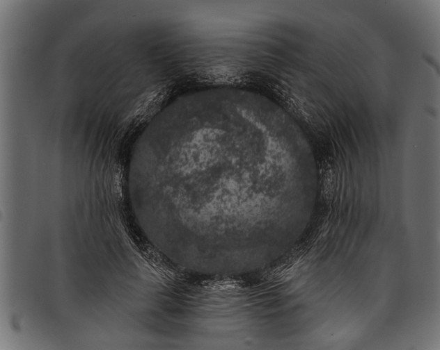 X0000097810643200803281059