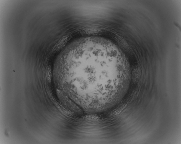 X0000097810644200803281059