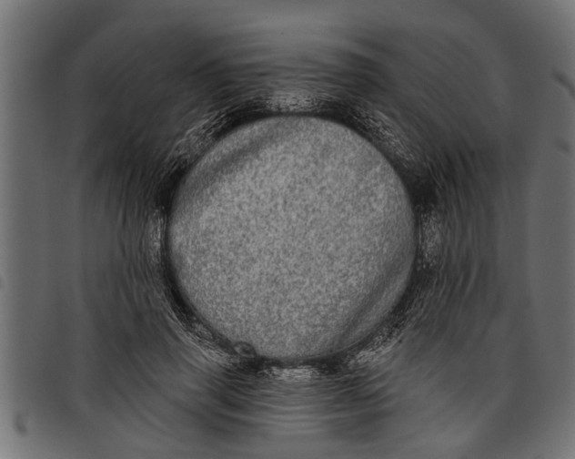 X0000097810645200803281059