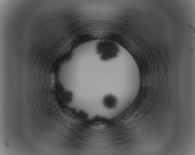 X0000097810646200803281059