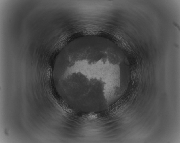 X0000097810647200803281059