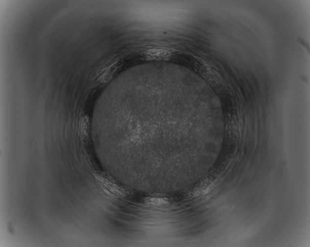 X0000097810649200803281059