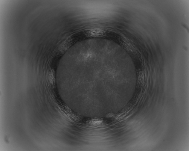 X0000097810651200803281059