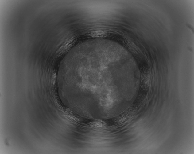 X0000097810652200803281059