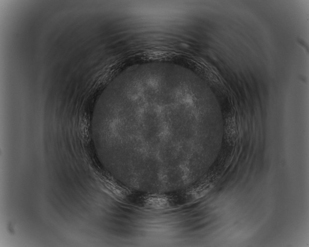 X0000097810653200803281059