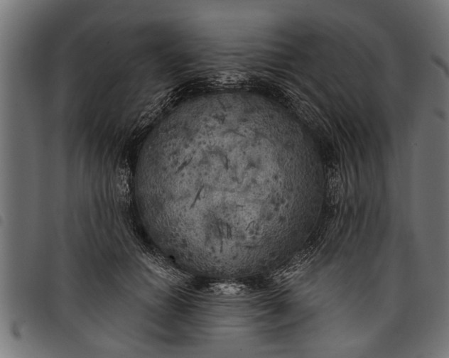 X0000097810654200803281059