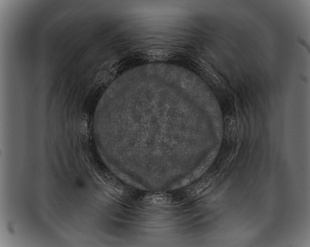 X0000097810655200803281059