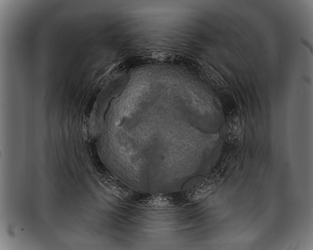 X0000097810656200803281059