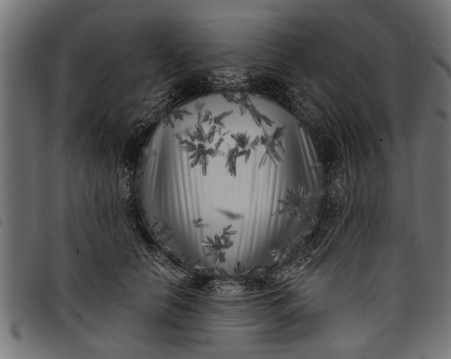 X0000097810658200803281059