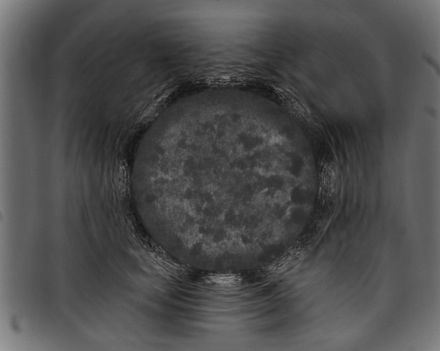 X0000097810659200803281059