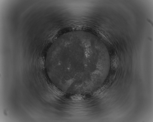 X0000097810661200803281059