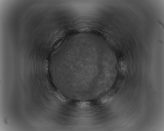 X0000097810664200803281059