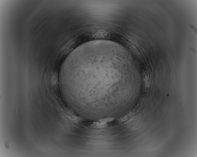 X0000097810665200803281059