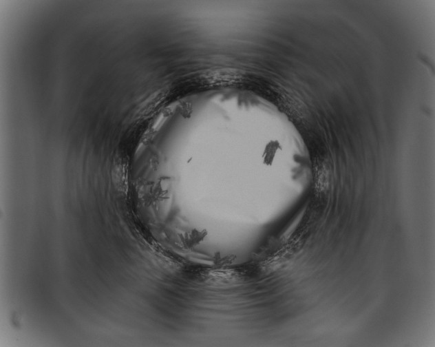 X0000097810666200803281059