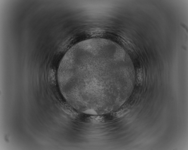 X0000097810667200803281059