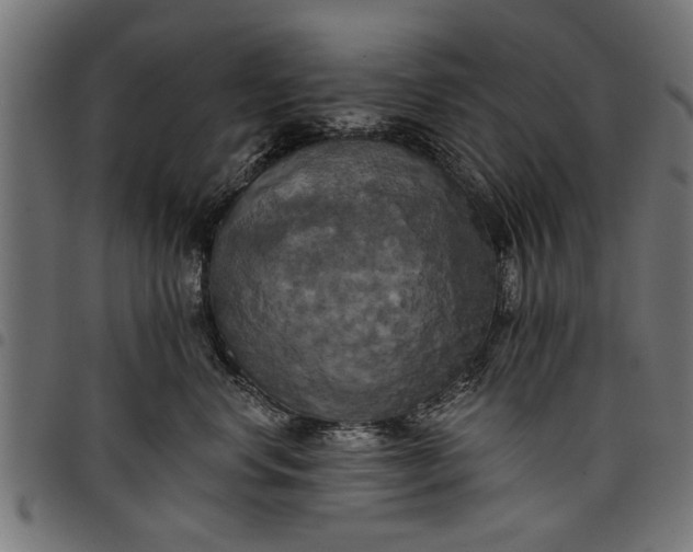 X0000097810668200803281059