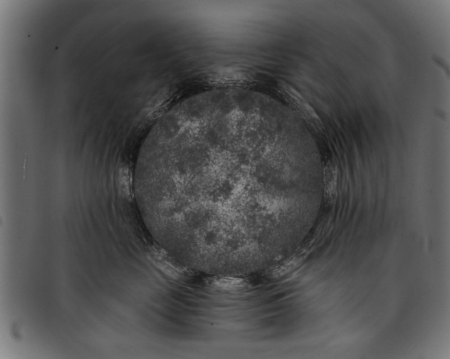 X0000097810669200803281059