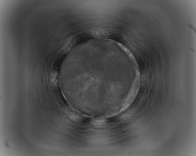 X0000097810671200803281059