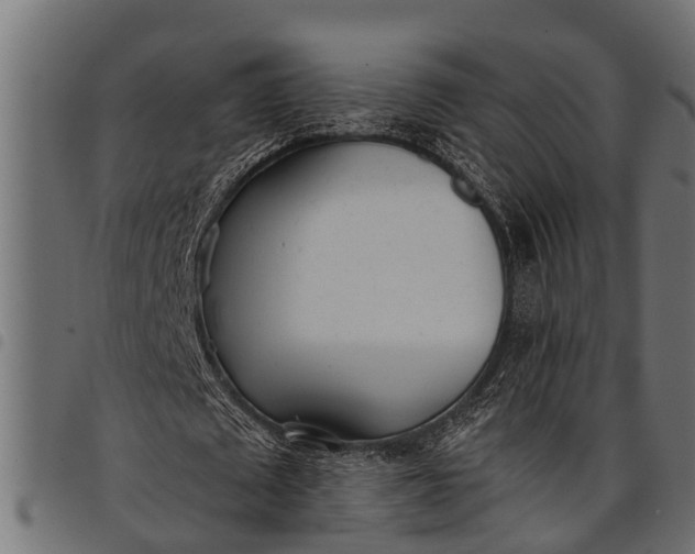 X0000097810673200803281059